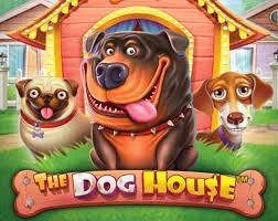The Dog House gokkast met puppysymbolen